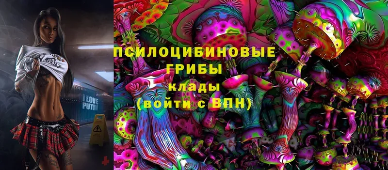 Галлюциногенные грибы Cubensis  Навашино 